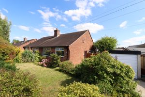 Photo 1- click for photo gallery